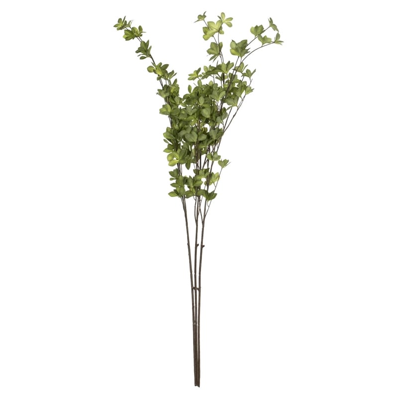 Vickerman 46