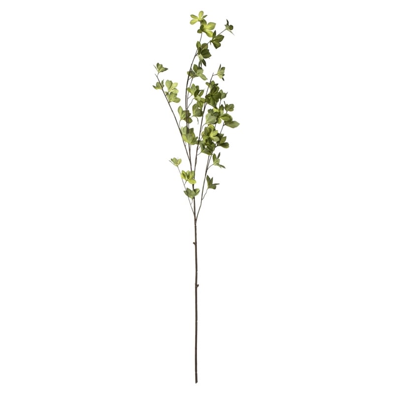 Vickerman 46