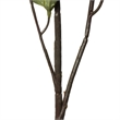 Vickerman 46