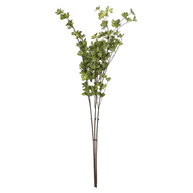 Vickerman 46