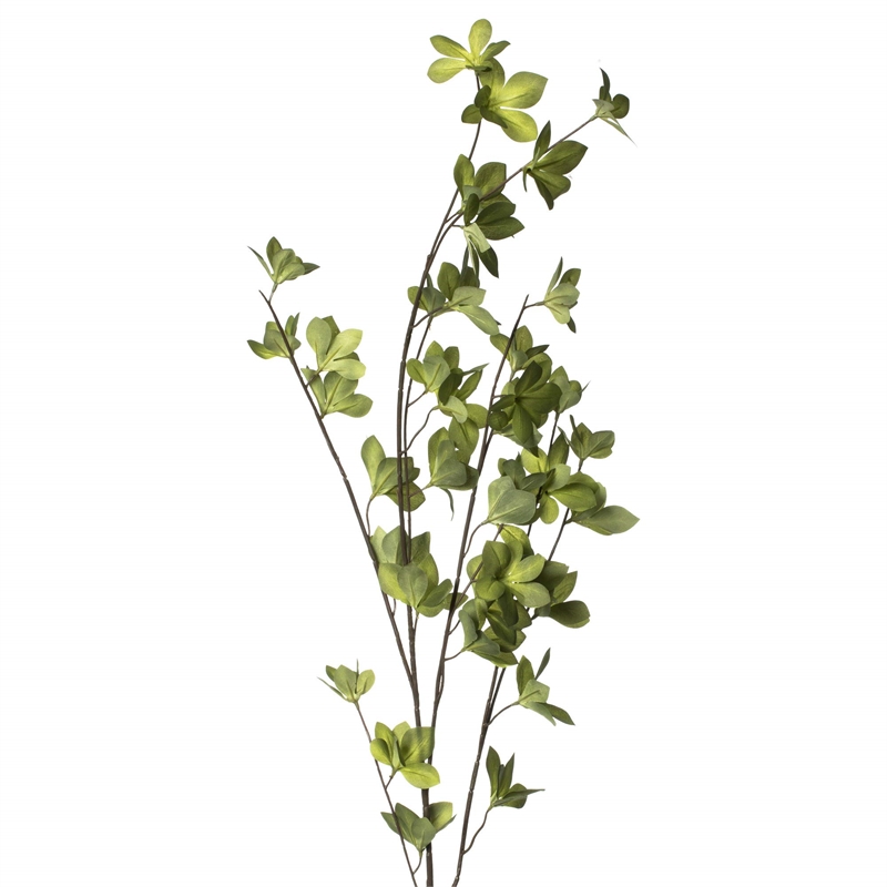 Vickerman 46