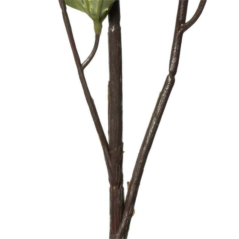 Vickerman 46