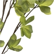 Vickerman 46