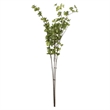 Vickerman 46