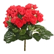 Vickerman 9.5