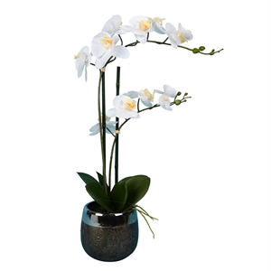 Vickerman 23&quot Plastic Artificial Phalaenopsis with Metal Pot in White