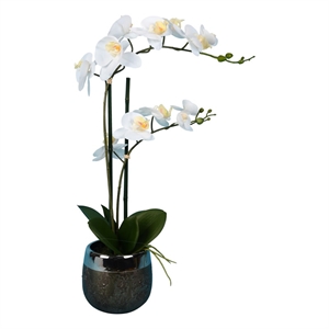 Vickerman 23&quot Plastic Artificial Phalaenopsis with Metal Pot in White