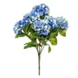 Vickerman 21