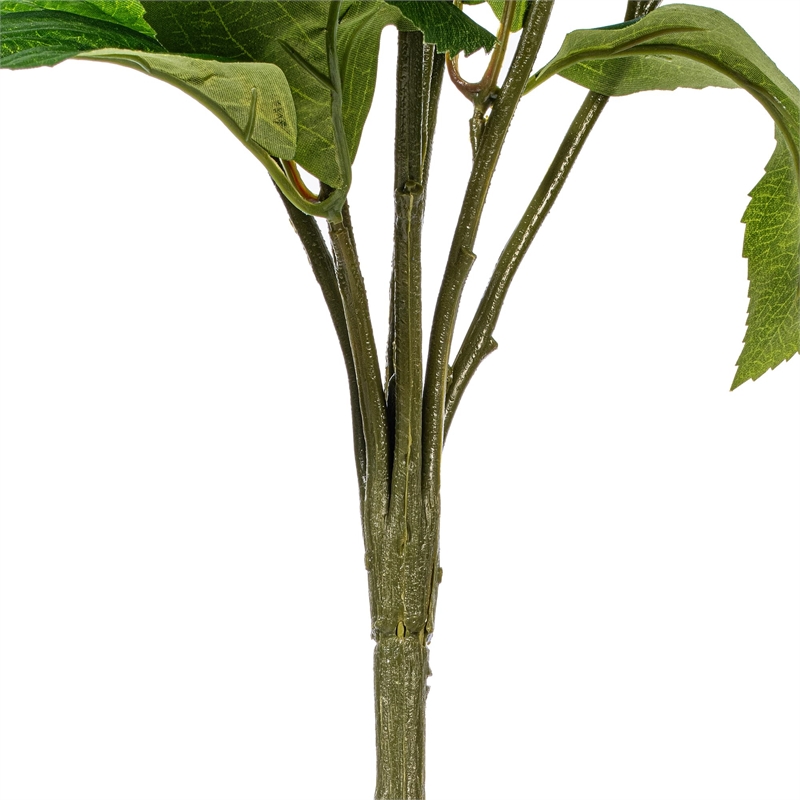 Vickerman 21