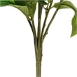 Vickerman 21