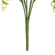 Vickerman 19