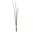 Vickerman 31