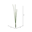 Vickerman 31