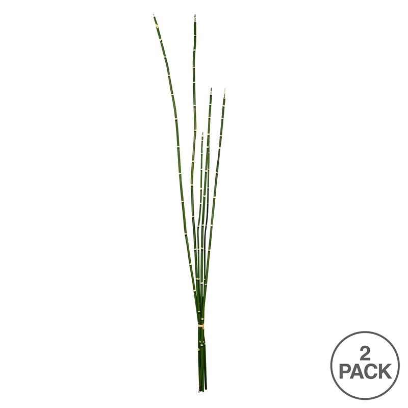 Vickerman 31
