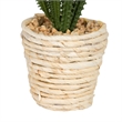 Vickerman 5