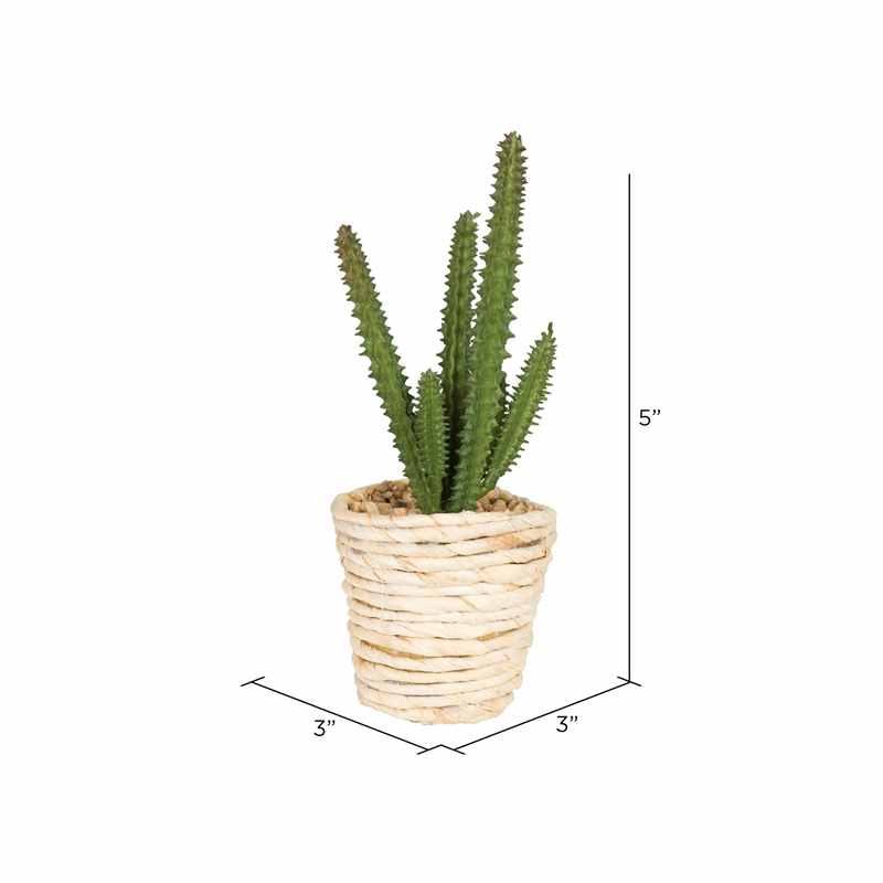 Vickerman 5