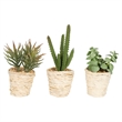 Vickerman 5