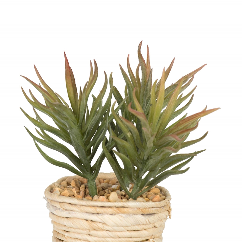 Vickerman 5