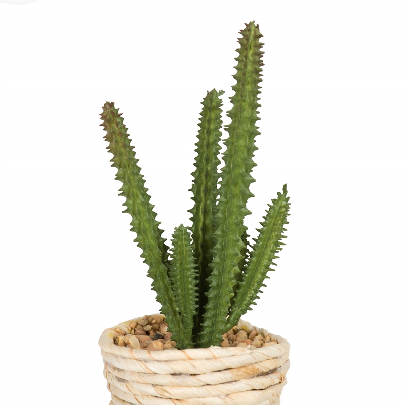 Vickerman 5