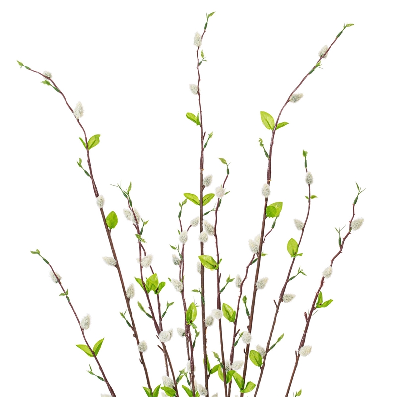 Vickerman 36