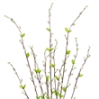 Vickerman 36