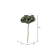 Vickerman 7.5