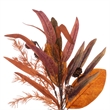 Vickerman 22