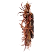 Vickerman 22