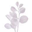 Vickerman 24