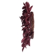 Vickerman 24