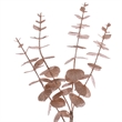 Vickerman 24
