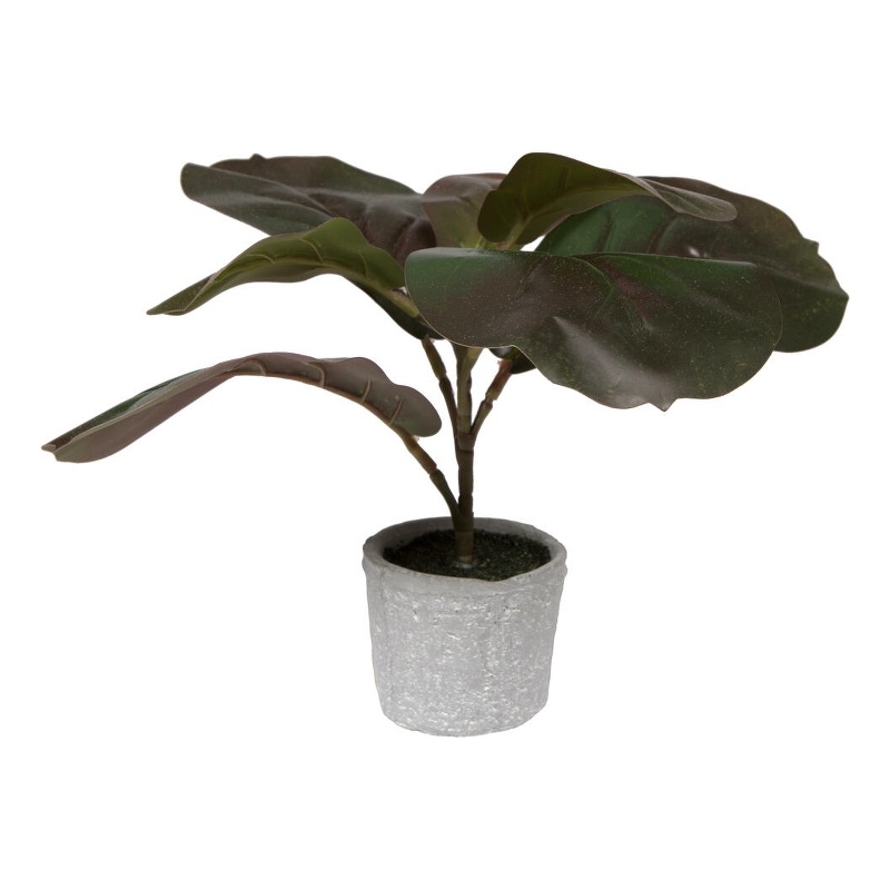 Vickerman 11