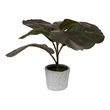 Vickerman 11