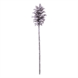 Vickerman 29
