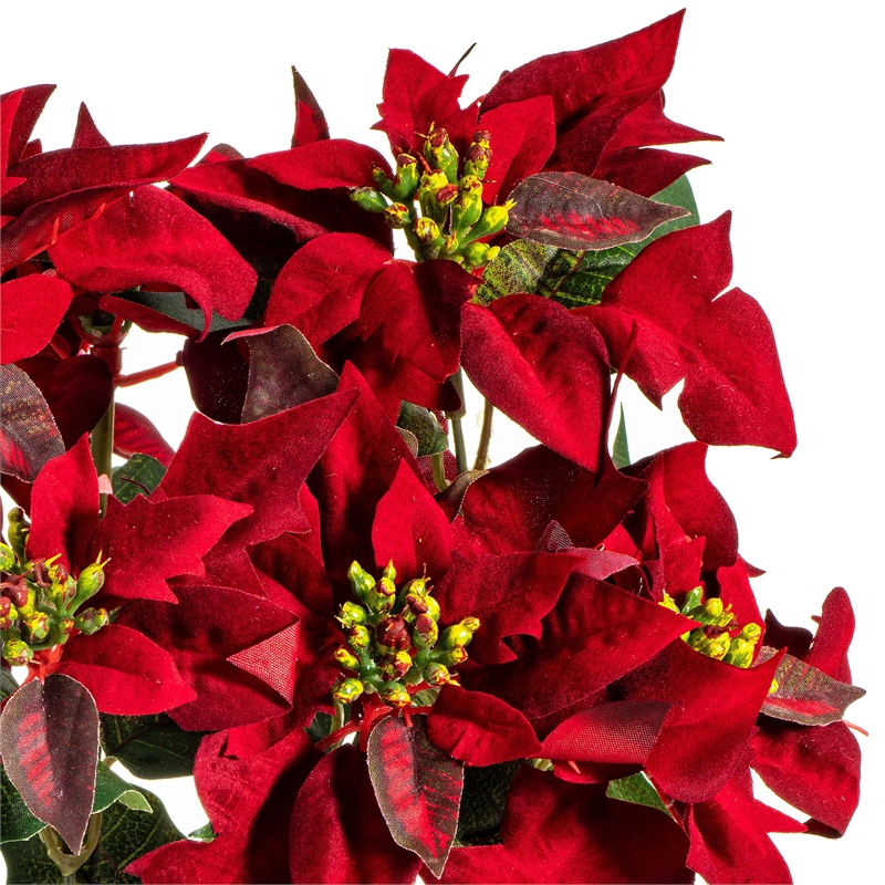 Vickerman 18