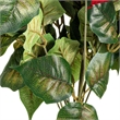 Vickerman 18