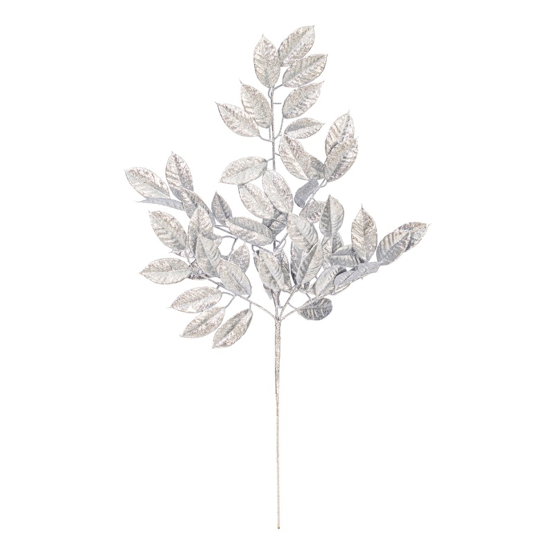 Vickerman 31