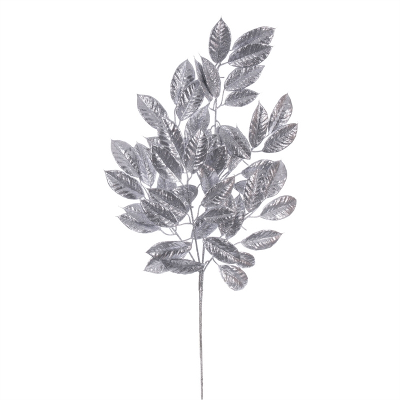 Vickerman 31