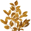 Vickerman 31