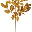 Vickerman 31