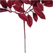 Vickerman 31