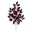 Vickerman 31