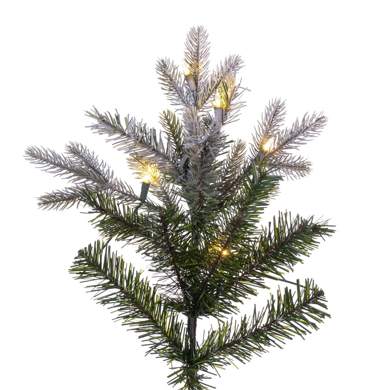 Vickerman 10' Frosted Douglas Fir Artificial Slim Tree. Warm White LED Lights
