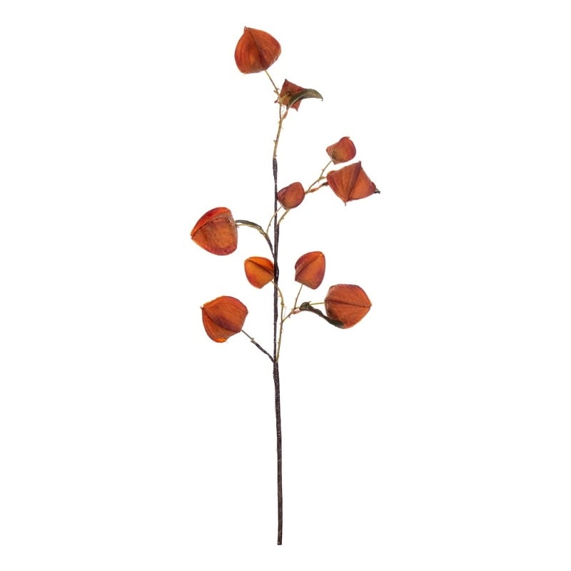 Vickerman 30.5