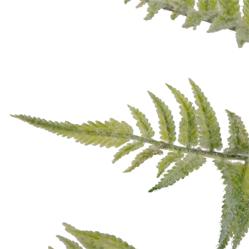 Vickerman 33.5