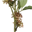 Vickerman 31