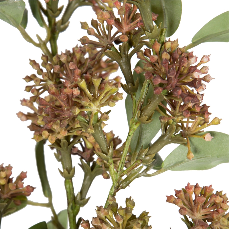 Vickerman 31