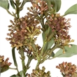 Vickerman 31