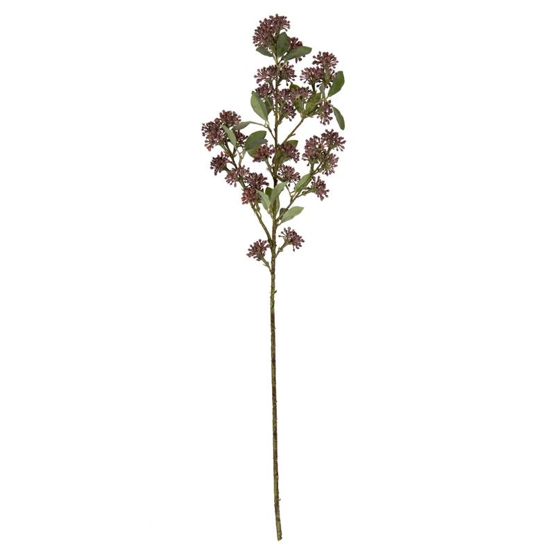 Vickerman 31