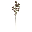 Vickerman 31